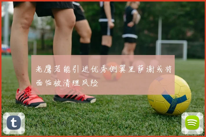 老鹰若能引进优秀侧翼里萨谢或将面临被清理风险